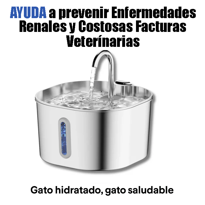 Hydro Kitty™ Fuente De Agua De Acero Inoxidable