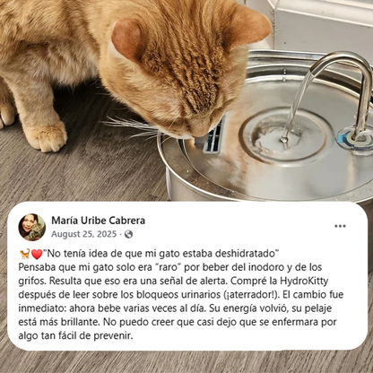 Hydro Kitty™ Fuente De Agua De Acero Inoxidable