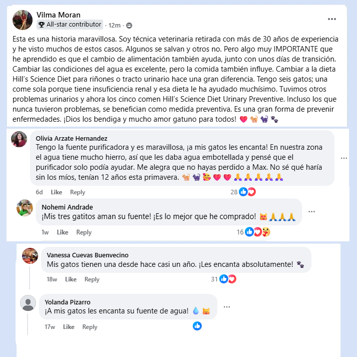 Hydro Kitty™ Fuente De Agua De Acero Inoxidable