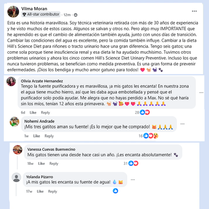 Hydro Kitty™ Fuente De Agua De Acero Inoxidable